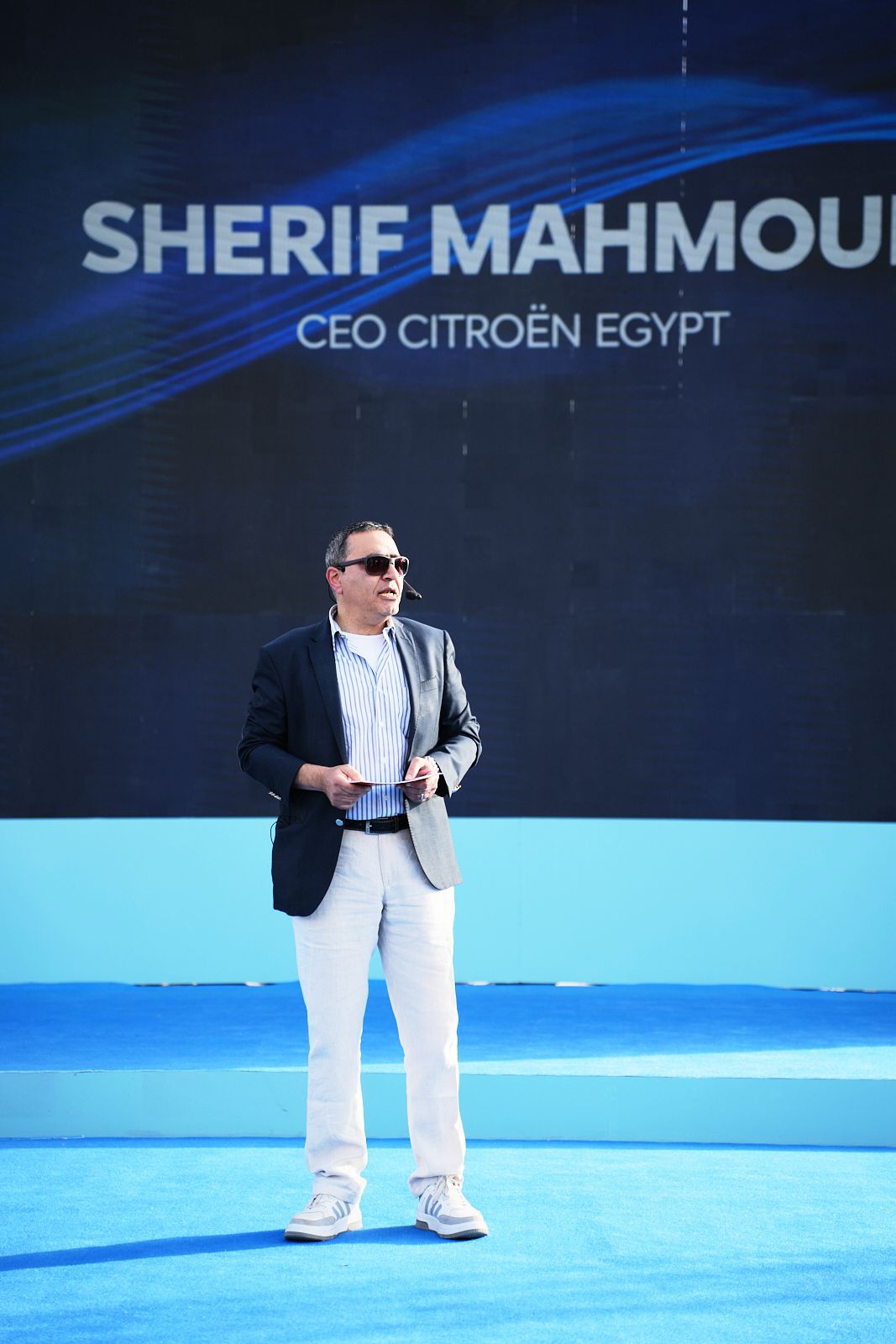 هشام حسني